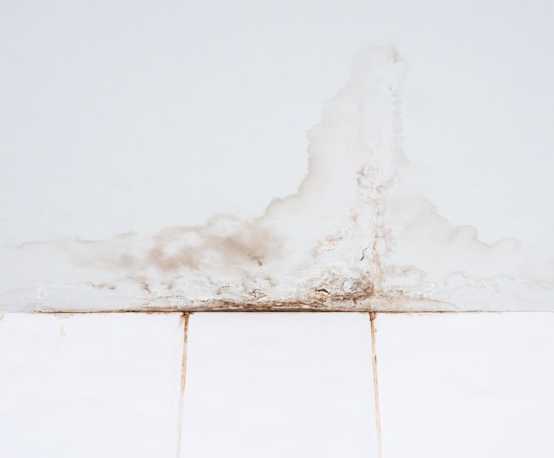 Bathroom Water Damage Repair in Littleton, CO