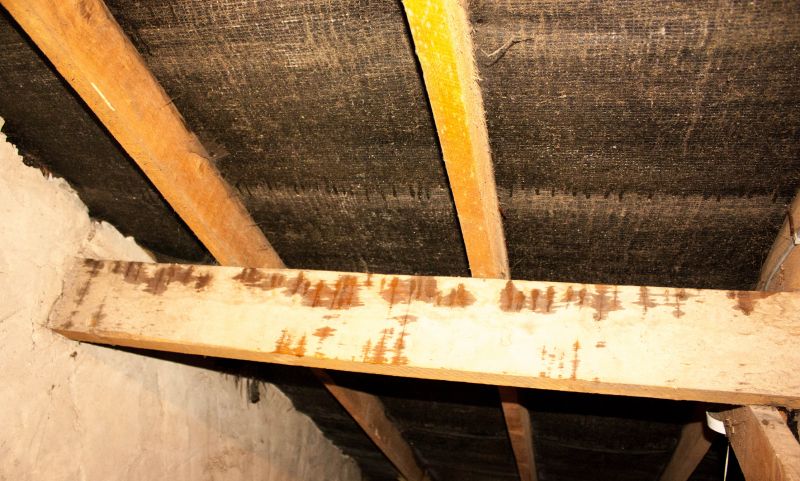 Water Damage Ceiling Repair in Houston, TX